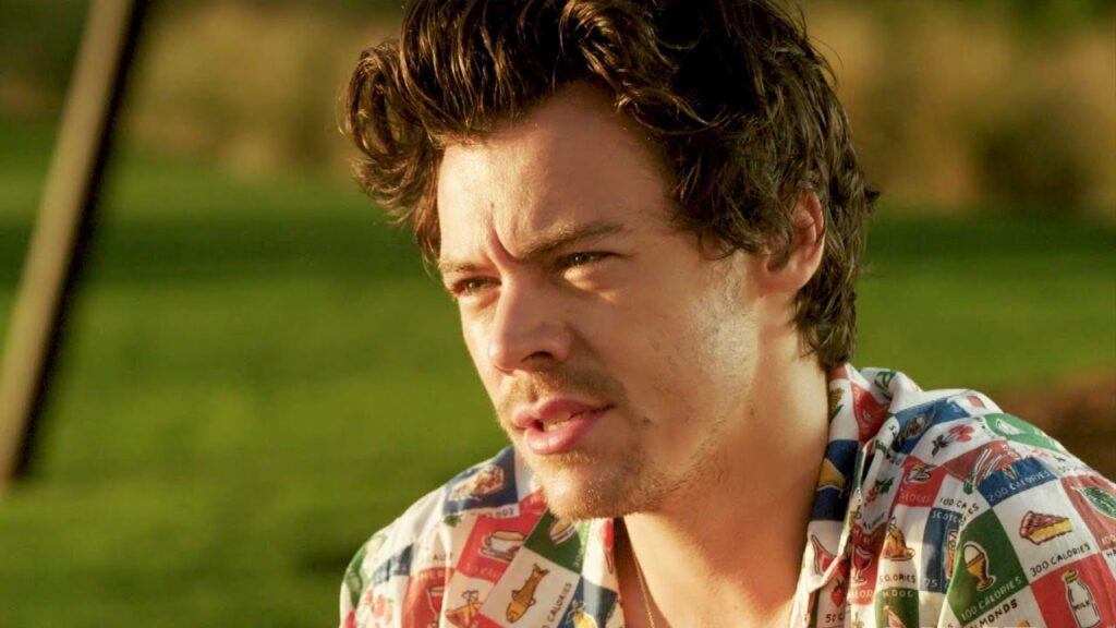 Harry Styles cuspiu em Chris Pin durante Festival de Veneza? harry styles interview yt
