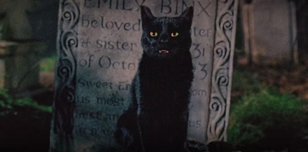 Jason Marsden é a voz de Thackery Binx em Abracadabra (Reprodução)