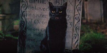Jason Marsden é a voz de Thackery Binx em Abracadabra (Reprodução)