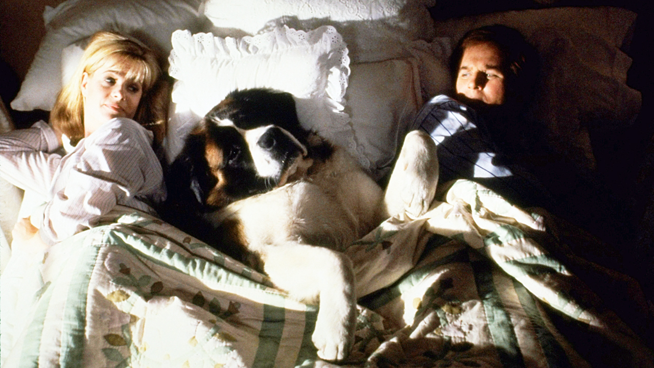 10 filmes para você ver no Dia Internacional do Cachorro 1 Cena de Beethoven O Magnifico Reproducao Youtube