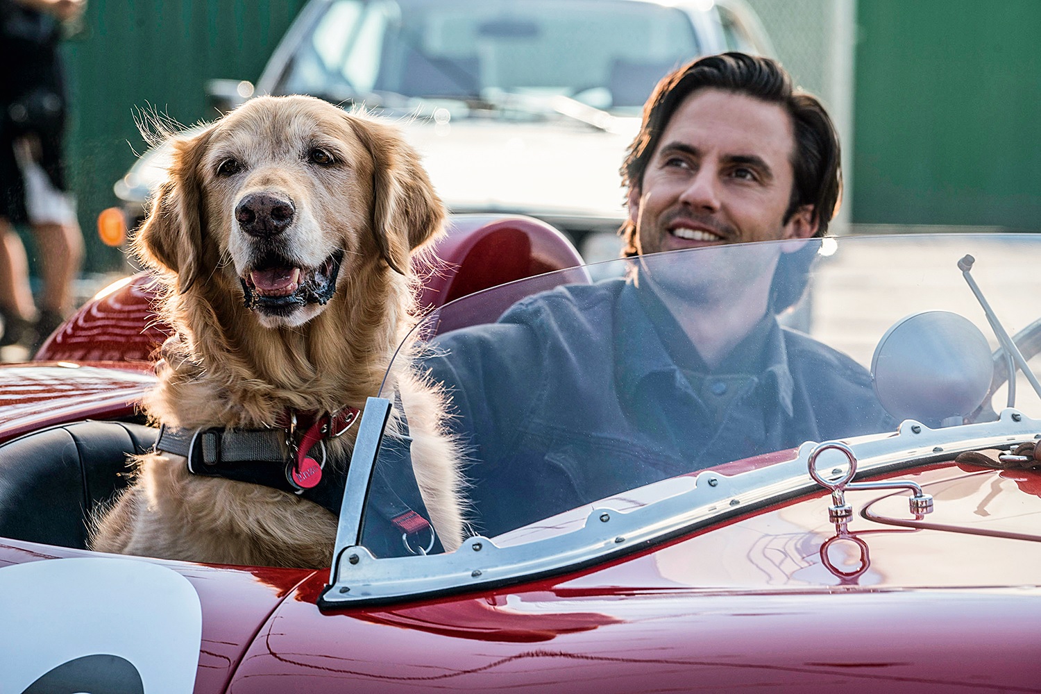 10 filmes para você ver no Dia Internacional do Cachorro 7 Cena de Meu Amigo Enzo Divulgacao 20th Century Fox Film