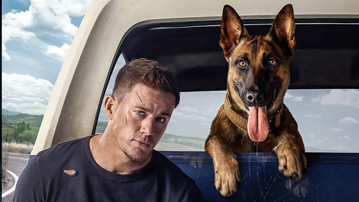10 filmes para você ver no Dia Internacional do Cachorro 9 Dog A Aventura de uma vida Divulgacao FilmNation Entertainment