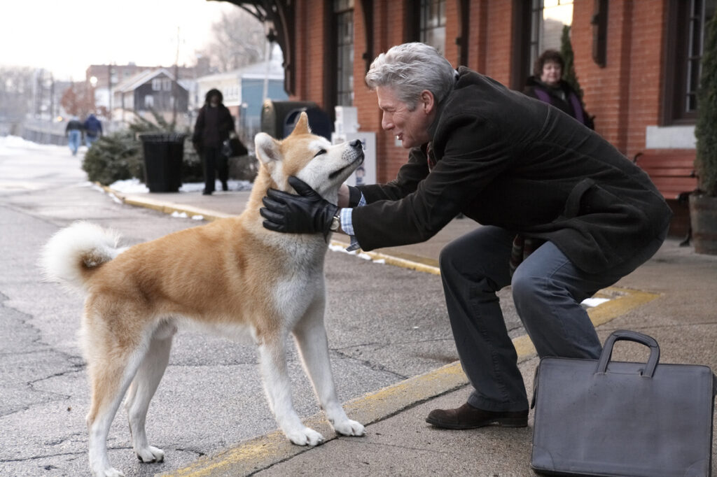 Dia Internacional do Cachorro vai ter Sempre Ao Seu Lado na TV Sempre ao seu Lado Reproducao IMDB