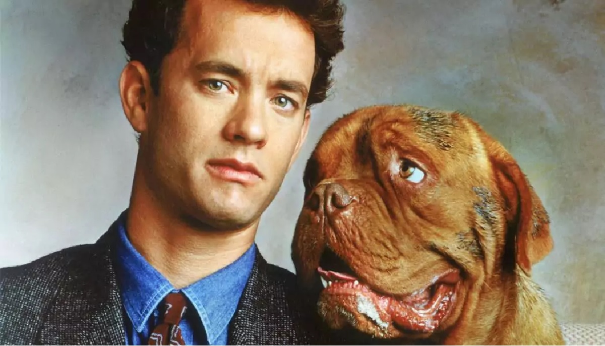 10 filmes para você ver no Dia Internacional do Cachorro 2 Uma Dupla Quase Perfeita Divulgacao Touchstone Pictures