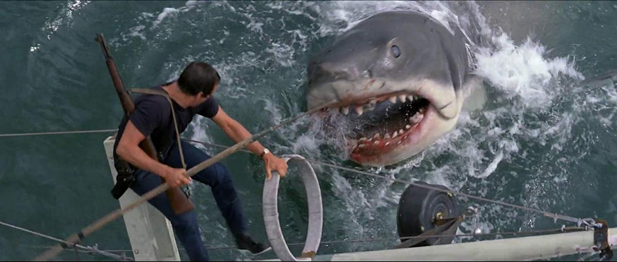 Cena de Tubarão (Reprodução)