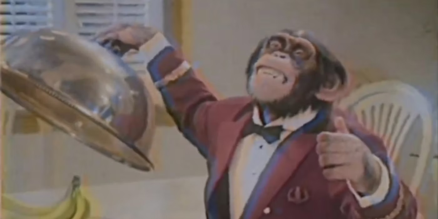 O chimpanzé Gordy em Não! Não Olhe! (Reprodução)