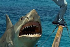 Cena de Tubarão: A Vingança (Reprodução)