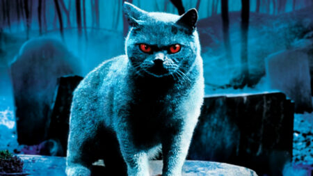 Cemitério Maldito: Por que Stephen King não gostou da adaptação? Cemitério Maldito (1989)