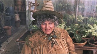 Miriam Margolyes como professora Sprout em Harry Potter e a Câmara Secreta (Reprodução)