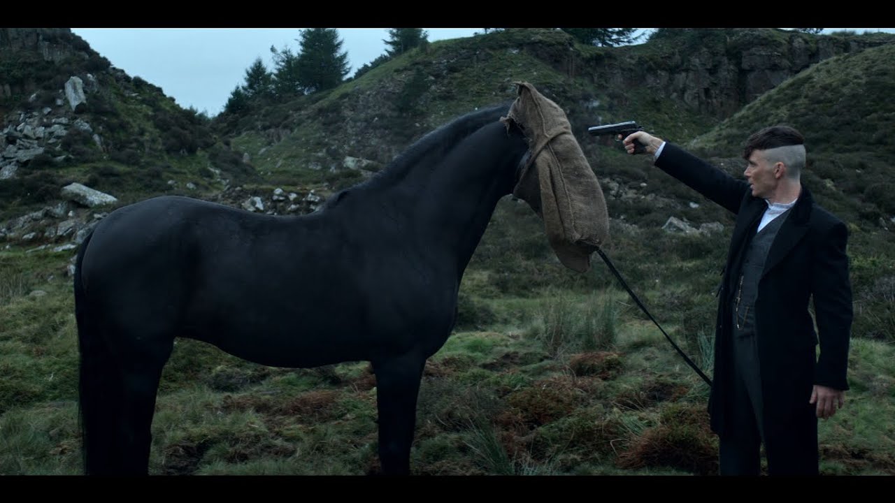 Cillian Murphy como Tommy Shelby mata o seu cavalo, Dangerous, em Peaky Blinders 