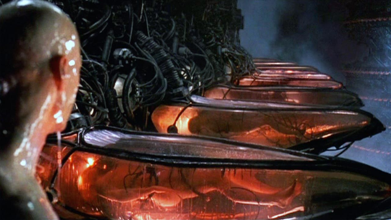 Essa teoria vai mudar a forma como você enxerga a Matrix 2 Cápsulas onde os humanos são presos na Matrix