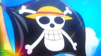 Bandeira dos Piratas do Chapéu de Palha em One Piece
