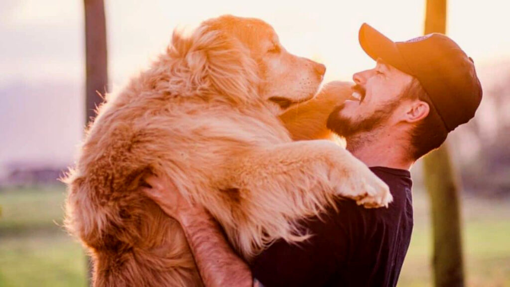 Influenciador e cachorro mortos em acidente ganham filme Jesse Koz e Shurastey