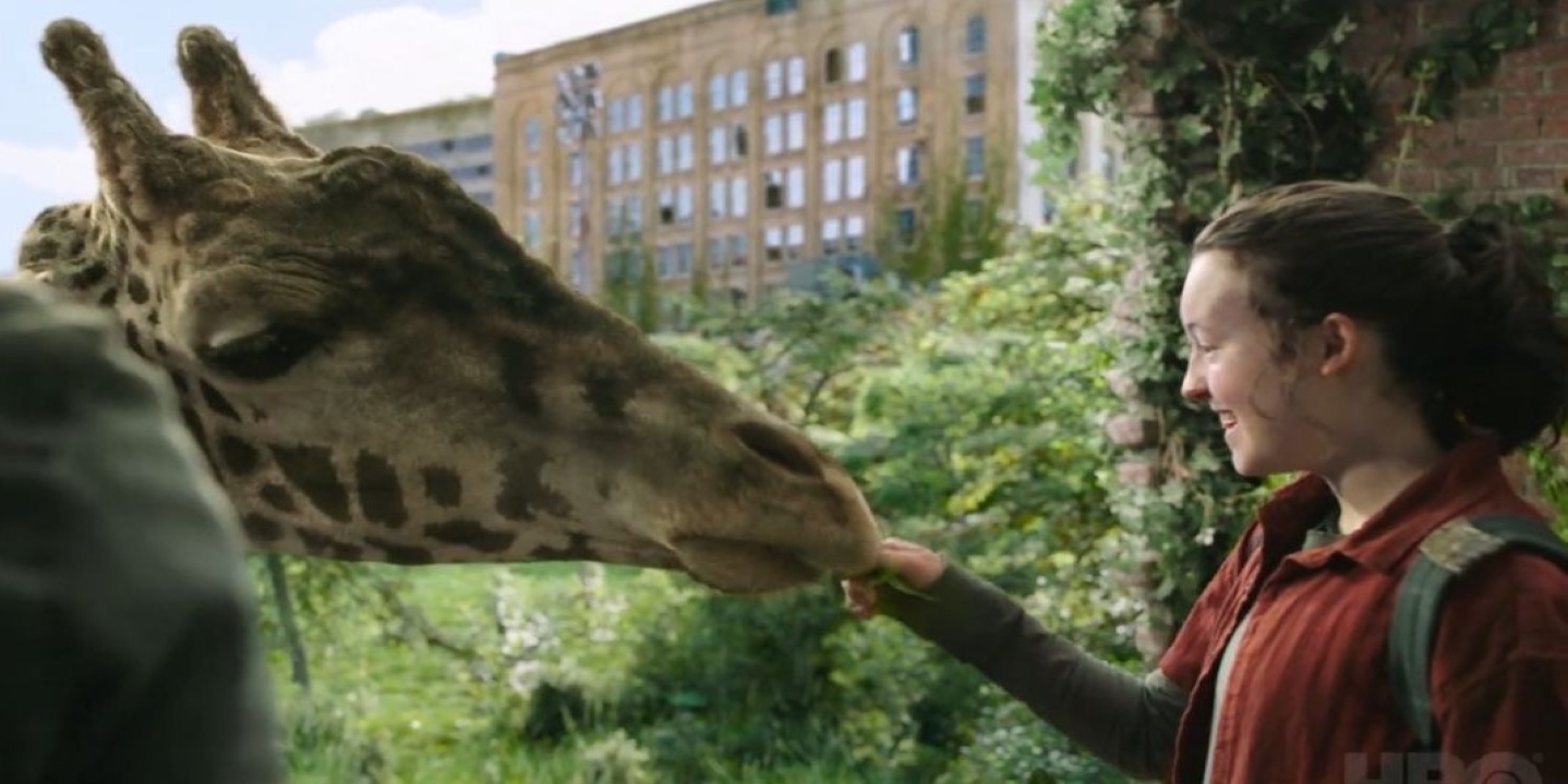 Ellie (Bella Ramsey) e a girafa em The Last of Us (Reprodução / HBO)
