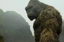 Kong em cena de Kong: A Ilha da Caveira (Reprodução)