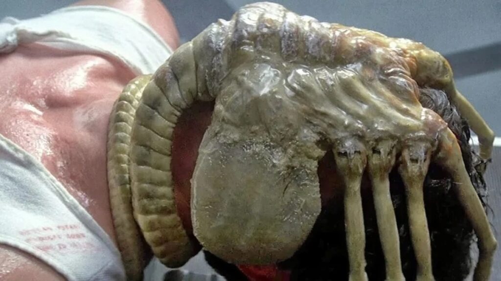 Terror se torna real com vídeo de Facehugger de Alien: Romulus Facehugger em cena da franquia Alien (Reprodução)