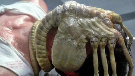 Facehugger em cena da franquia Alien (Reprodução)