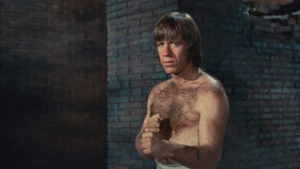 Qual estilo de arte marcial Chuck Norris usa? Chuck Norris em O Voo do Dragão (Reprodução)