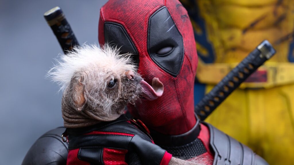 Deadpool pode aparecer em Vingadores: Doomsday, diz Ryan Reynolds Dogpool e Dadpool (Ryan Reynolds) em cena de Deadpool & Wolverine (Reprodução / Marvel)