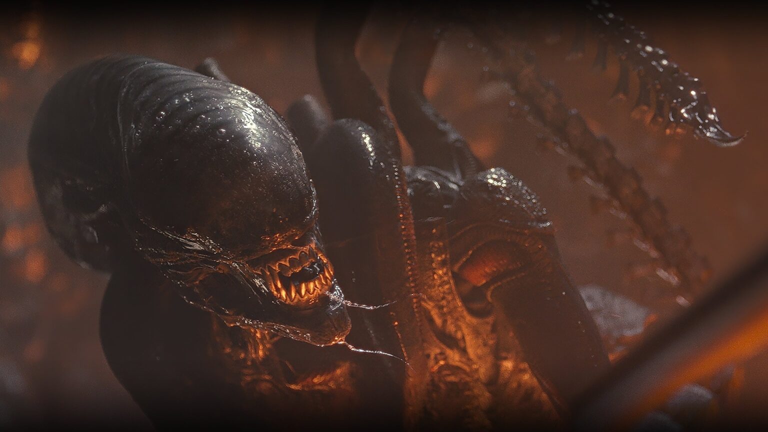 Varginha recebe pré-estreia e divulgação de Alien: Romulus Xenomorfo em cena de Alien: Romulus (Reprodução)
