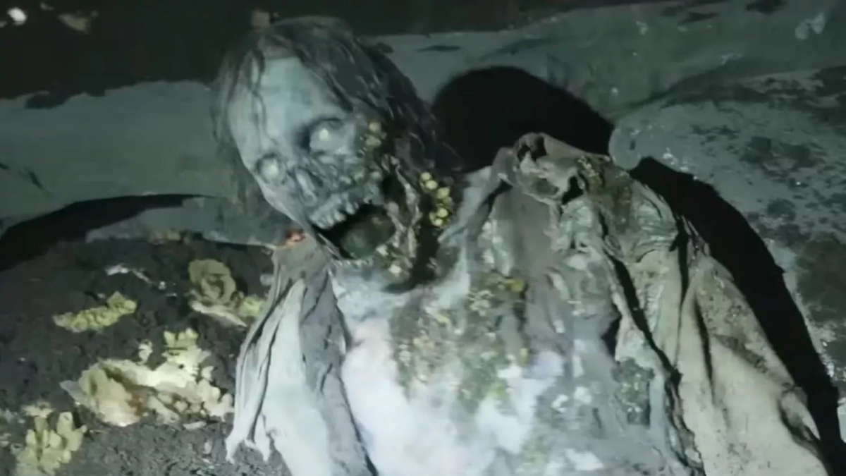 Série de Daryl Dixon apresenta um novo tipo de caminhante para The Walking Dead 1 Zumbi bioluminescente em The Walking Dead: Daryl Dixon - The Book of Carol (Divulgação / AMC)