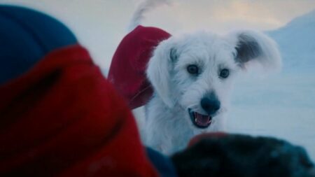 krypto superman