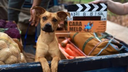 O cãozinho Amendoim em Caramelo (Divulgação / Netflix)