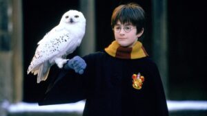 Chris Columbus não quer se envolver com série de ‘Harry Potter’ Daniel Radcliffe como Harry Potter em Harry Potter e a Pedra Filosofal (Reprodução / Warner Bros.)