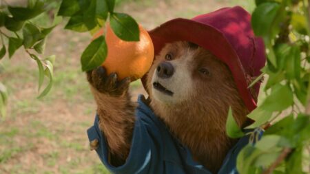 Paddington em Paddington: Uma Aventura na Floresta (Reprodução)