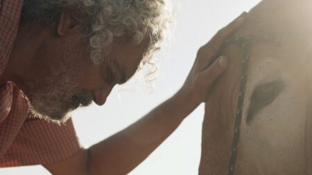 Pacto da Viola: Filme sobre conflito de gerações ganha data de estreia nos cinemas Sergio Vianna Pacto da Viola