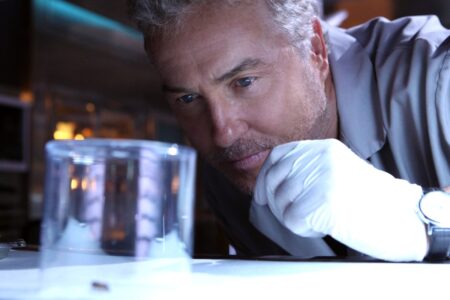 Você lembra? Série CSI faz 25 anos e teve até Taylor Swift no elenco Investigador forense da série CSI observando atentamente um inseto dentro de um recipiente transparente em laboratório.