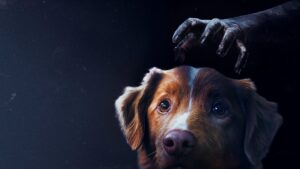Cão de olhar assustado sob uma mão sombria que se aproxima por trás em um fundo escuro.