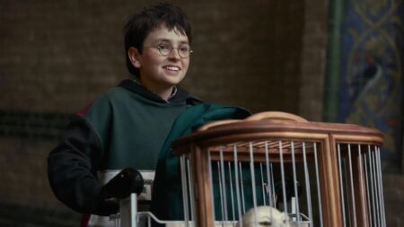 Harry Potter aparece sorrindo com uniforme de Hogwarts ao lado de uma gaiola com uma coruja em cena da série.
